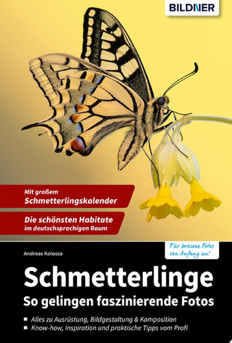 Schmetterlinge So gelingen faszinierende Fotos