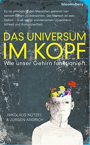 Das Universum im Kopf wie unser Gehirn funktioniert
