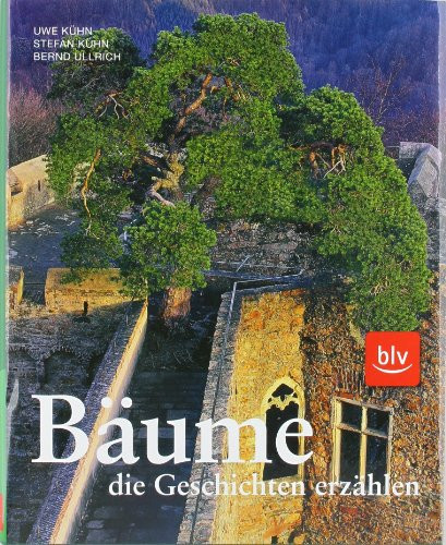 Bäume, die Geschichten erzählen von Tanzlinden, Gerichtseichen und heiligen Bäumen