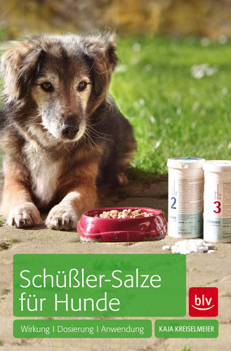 Schüßler-Salze für Hunde Wirkung · Dosierung · Anwendung