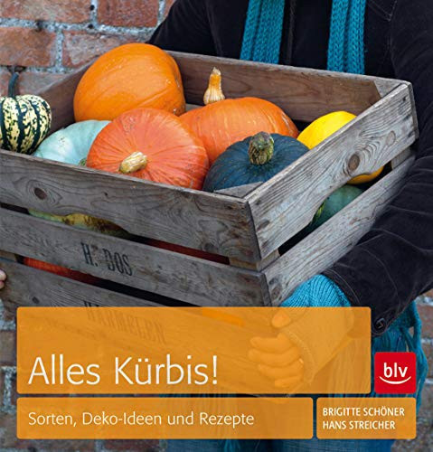 Alles Kürbis! Sorten, Deko-Ideen und Rezepte