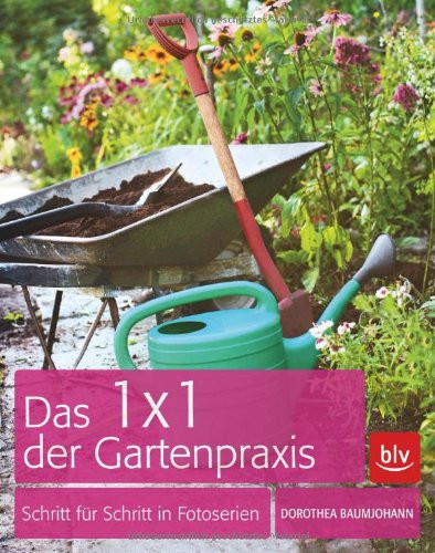 Lavendel Duft und Sinnlichkeit im Garten