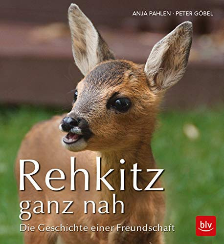 Rehkitz ganz nah Die Geschichte einer Freundschaft
