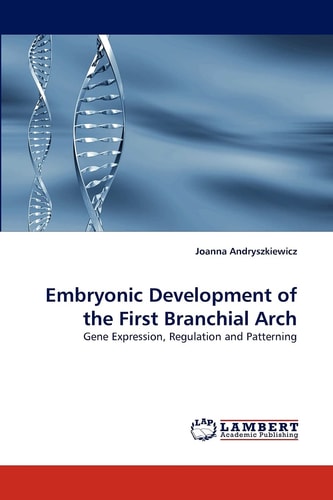 Embryonic Development of the First Branchial Arch
