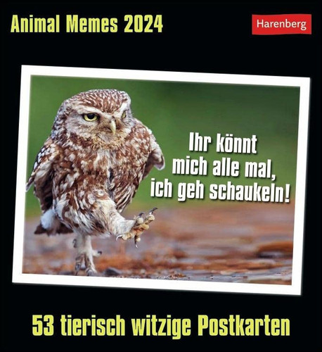 Animal Memes Postkartenkalender 2024 53 tierisch witzige Postkarten