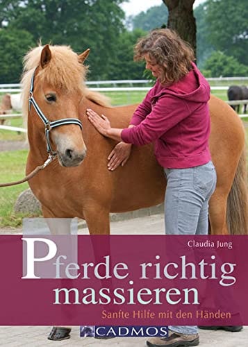 Pferde richtig massieren sanfte Hilfe mit den Händen