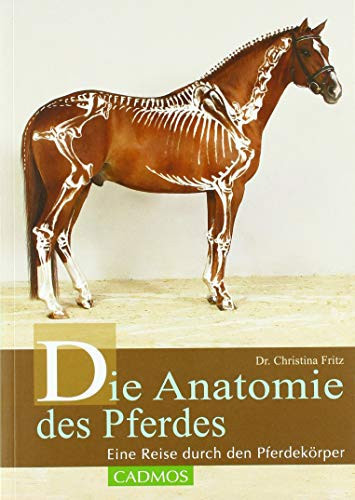 Die Anatomie des Pferdes: Eine Reise durch den Pferdekörper