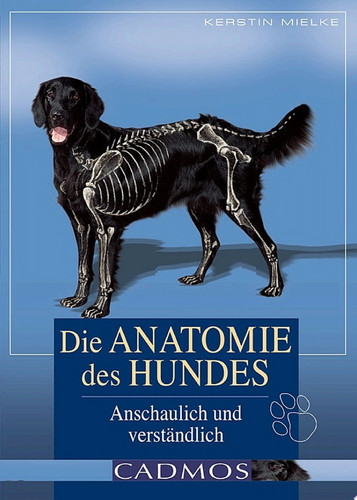 Die Anatomie des Hundes Anschaulich und verständlich