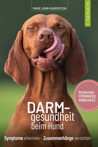 Darmgesundheit beim Hund Symptome erkennen, Zusammenhänge verstehen