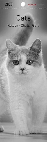 Katzen 2020 - Lesezeichenkalender (5,5 x 16,5) - Cats - Tierkalender - Gadget - Lesehilfe - Geschenkidee