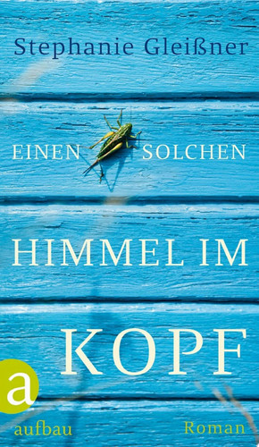Einen solchen Himmel im Kopf Roman
