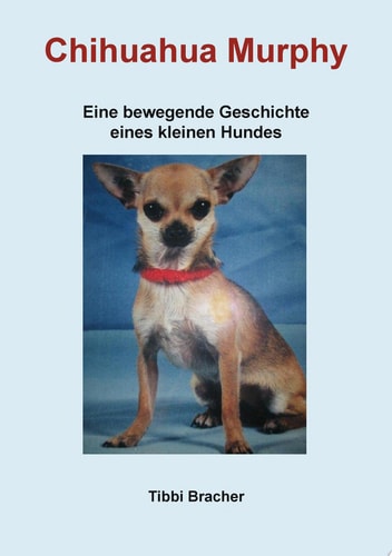 Chihuahua Murphy Eine bewegende Geschichte eines kleinen Hundes