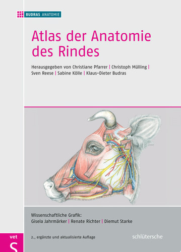 Atlas der Anatomie des Rindes Inklusive Supplement