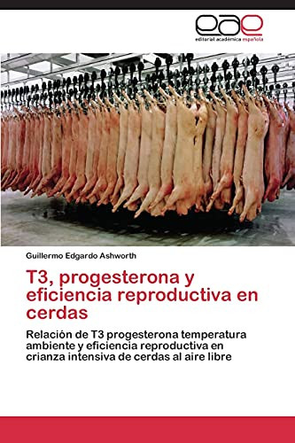 T3, progesterona y eficiencia reproductiva en cerdas Relación de T3 progesterona temperatura ambiente y eficiencia reproductiva en crianza intensiva de cerdas al aire libre
