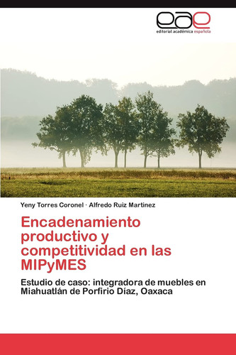 Encadenamiento Productivo Y Competitividad en Las Mipymes