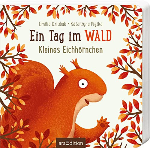 Ein Tag im Wald - kleines Eichhörnchen