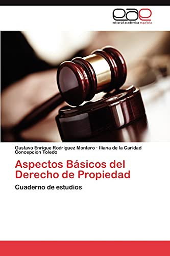 Aspectos Básicos Del Derecho de Propiedad