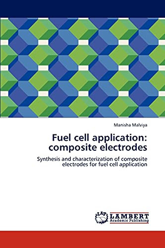 Fuel Cell Application Composite Electrodes