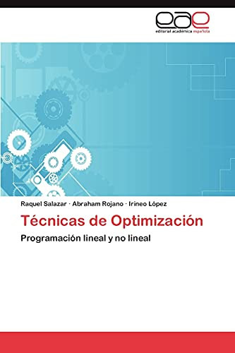 Técnicas de Optimización
