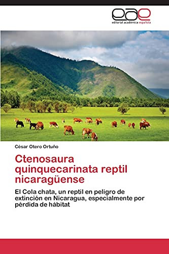 Ctenosaura Quinquecarinata Reptil Nicaragüense