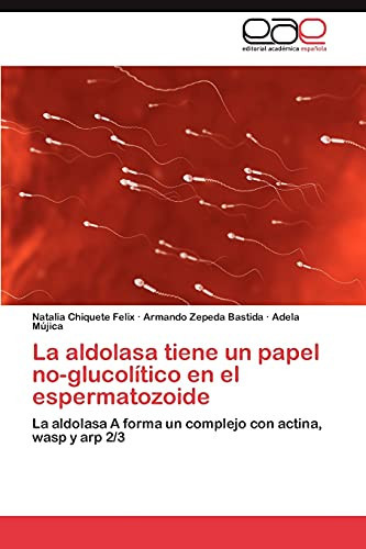 La Aldolasa Tiene Un Papel No-Glucolítico en El Espermatozoide