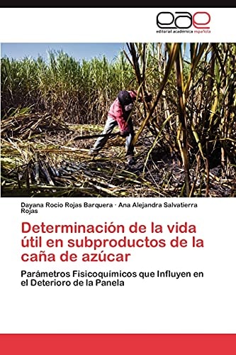 Determinación de la Vida Útil en Subproductos de la Caña de Azúcar