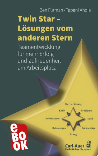 Twin Star - Lösungen von anderen Stern Teamentwicklung für mehr Erfolg und Zufriedenheit am Arbeitsplatz