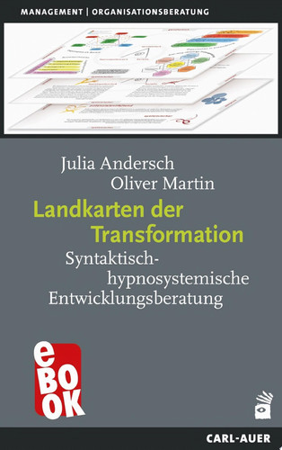 Management Syntaktisch-hypnosystemische Entwicklungsberatung