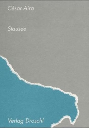 Stausee Roman