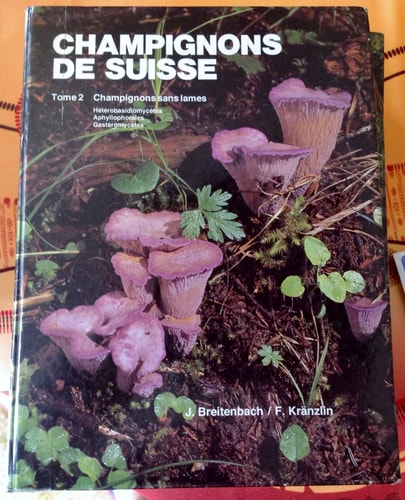 Champignons de Suisse contribution à la connaissance de la flore fongique de Suisse