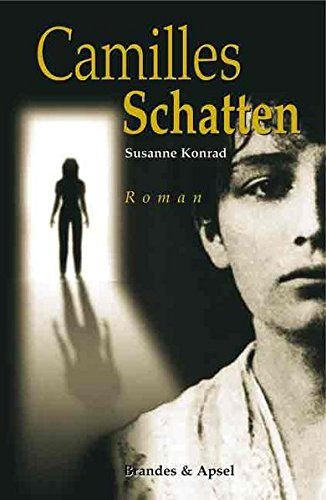 Camilles Schatten Roman