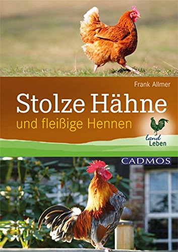 Stolze Hähne und fleißige Hennen