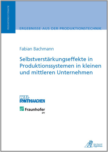 Selbstverstärkungseffekte in Produktionssystemen in kleinen und mittleren Unternehmen