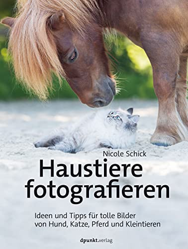 Haustiere fotografieren Ideen und Tipps für tolle Bilder von Hund, Katze, Pferd und Kleintieren