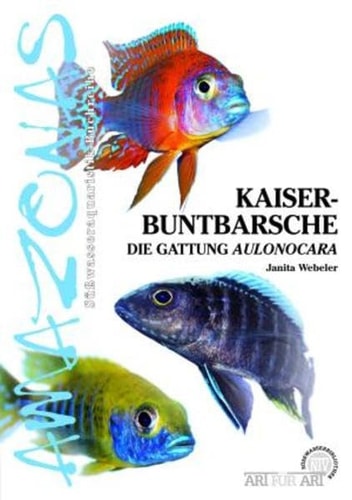 Kaiserbuntbarsche die Gattung Aulonocara