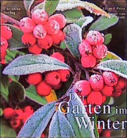 Der Garten im Winter