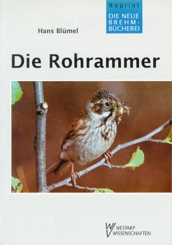ROHRAMMER EMBERIZA SCHOENICLUS