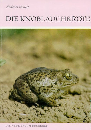 KNOBLAUCHKRÖTE PELOBATES FUSCUS