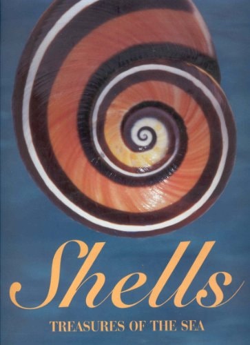 Shells Treasures of the Sea