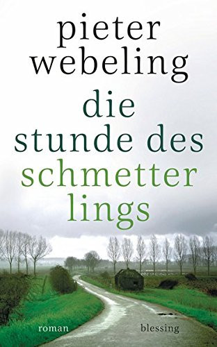 Die Stunde des Schmetterlings: Roman