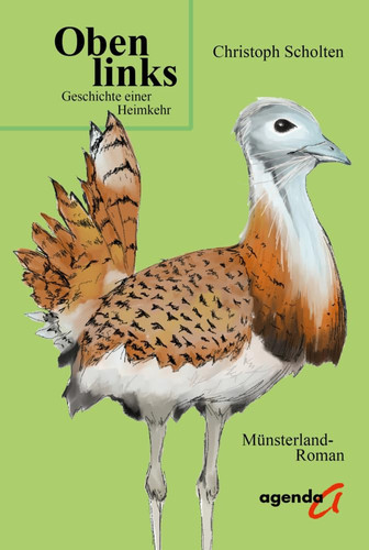Oben links Geschichte einer Heimkehr : Münsterland-Roman