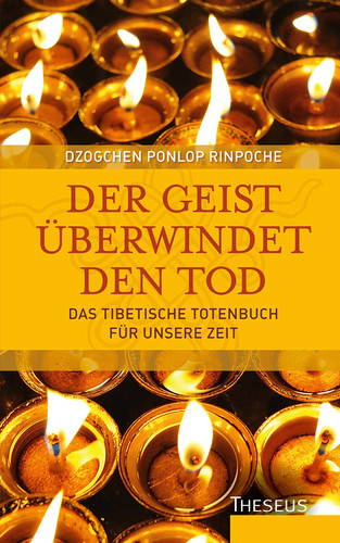 Der Geist überwindet den Tod das tibetische Totenbuch für unsere Zeit