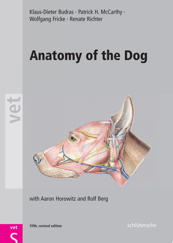 Anatomy of the Dog With Aaron Horowitz and Rolf Berg
