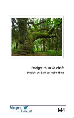 Modul 4: Die Sicht der Bank auf meine Firma Erfolgs-Kurs für Selbstständige, Freiberufler und Existenzgründer