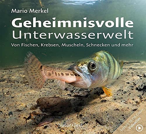 Geheimnisvolle Unterwasserwelt von Fischen, Krebsen, Muscheln, Schnecken und mehr