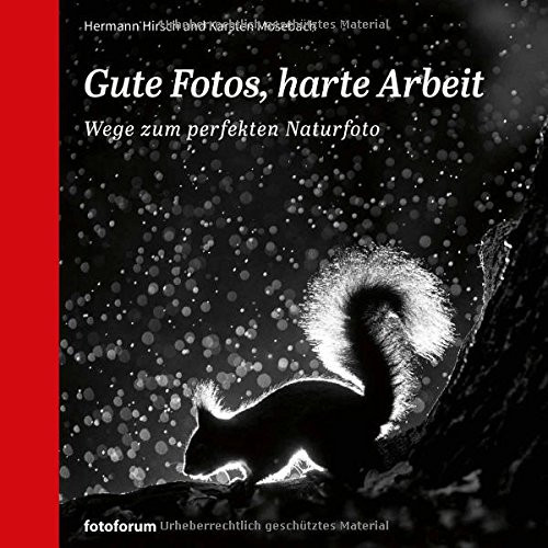 Gute Fotos, harte Arbeit Wege zum perfekten Naturfoto