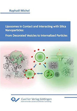 Liposomes in Contact and Interacting with Silica Nanoparticles From Decorated Vesicles to Internalized Particles