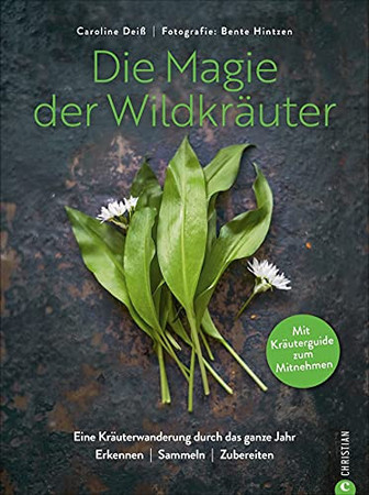 Die Magie der Wildkräuter: eine Kräuterwanderung durch das ganze Jahr : erkennen, sammeln, zubereiten