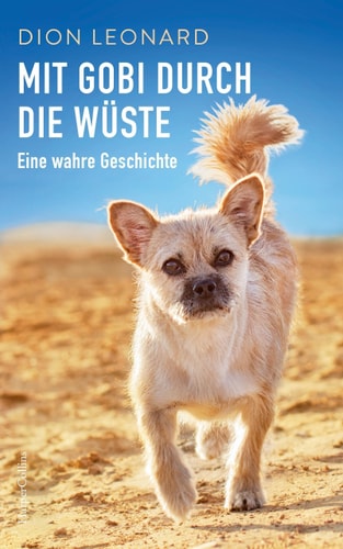 Mit Gobi durch die Wüste eine wahre Geschichte