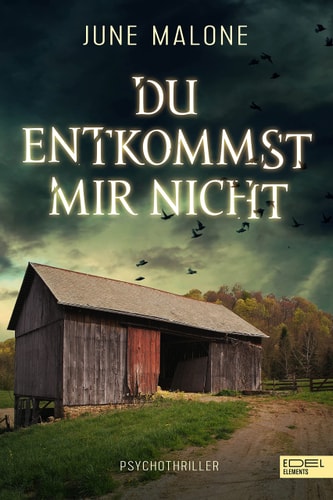 Du entkommst mir nicht Psychothriller
